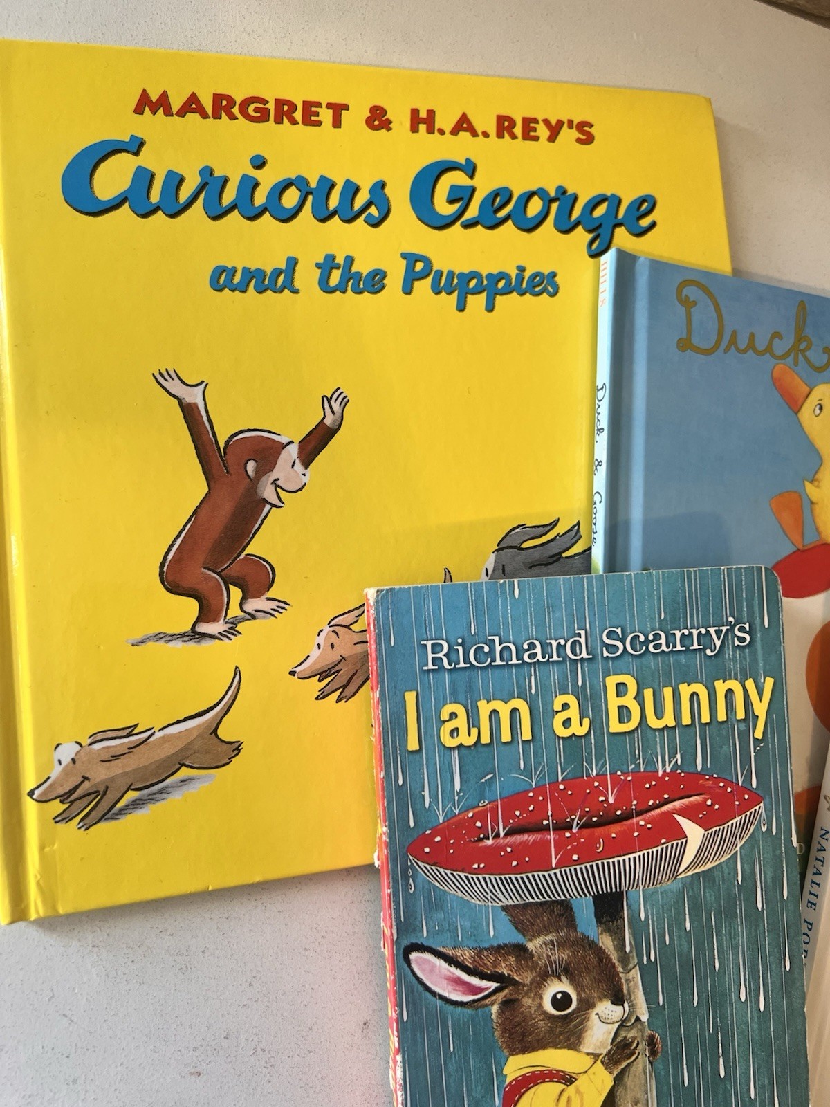 Picture Book Lot of 5 Books for Children’s Kids Toddler Daycare Hardback Curious