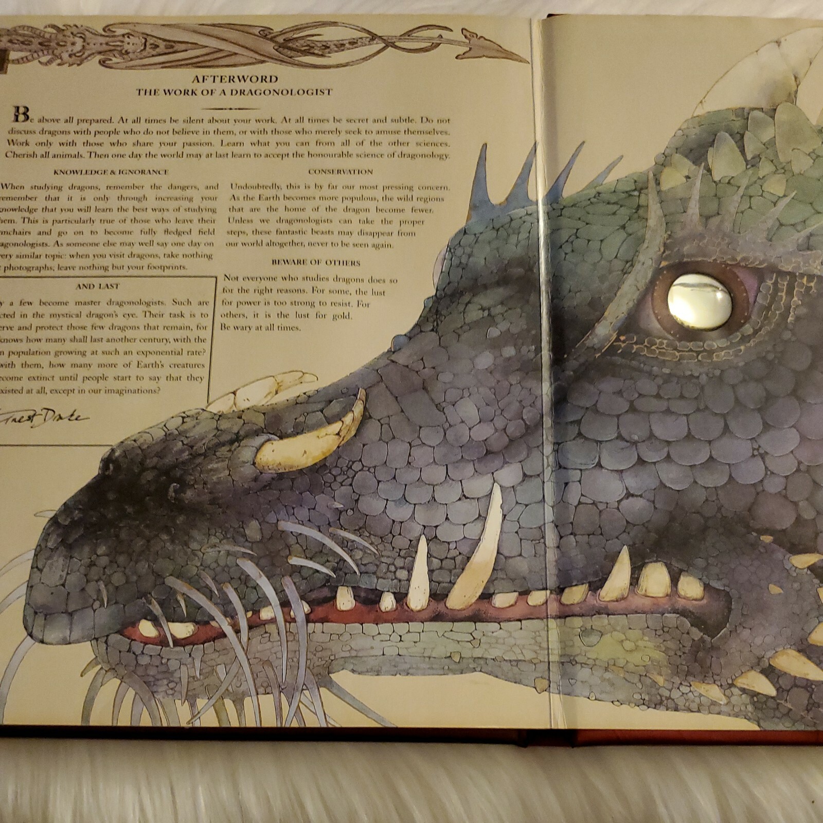 Ologies Ser.: Dragonology : The Complete Book of Dragons by Ernest Drake (2003)
