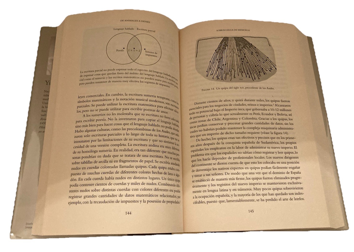 De Animales A Dioses by Yuval Noah Harari (HC 2014) Ex-Library – ACCEPTABLE