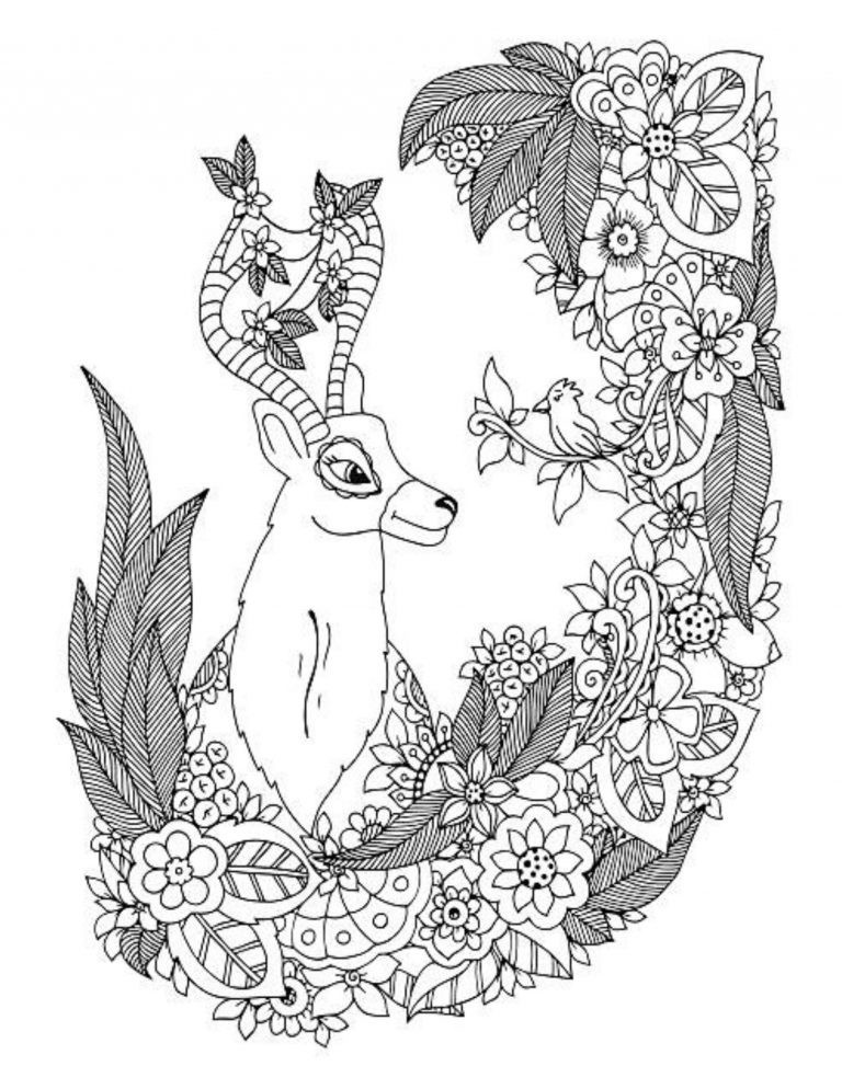 Deer best Coloring Book for Adults and Teens 108 Pages 8.5 x 11 for All Ages