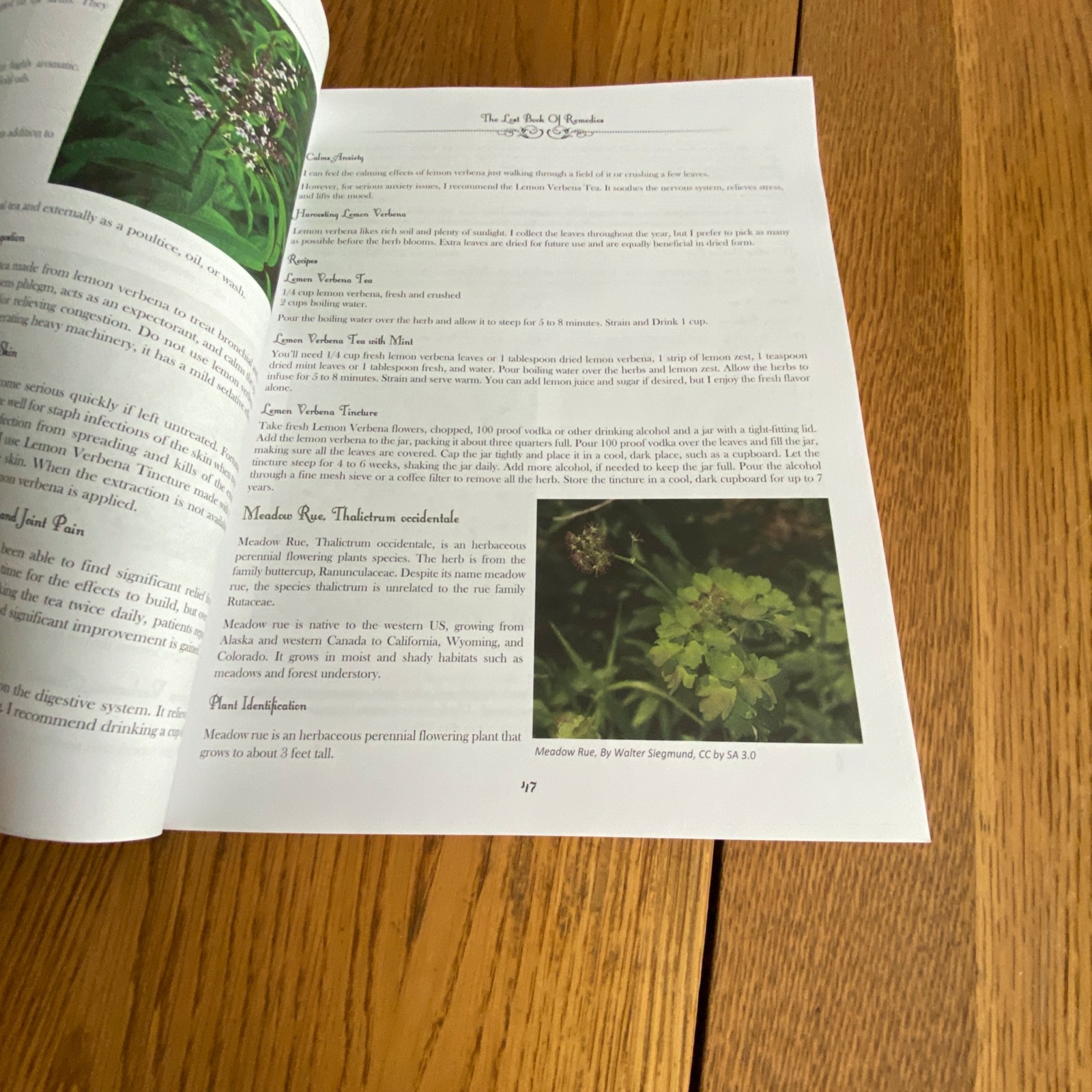 Holistic Guide to Wellness & Lost Book of Herbal Remedies Paperback