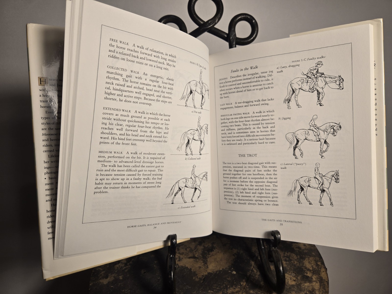 Susan E. Harris Horse Gaits, Balance and Movement (1993)