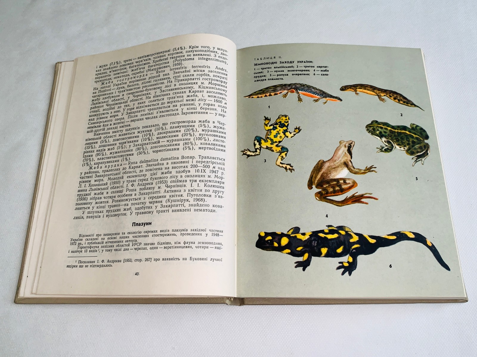 Фауна Західної України Хребетні / Fauna of Vertebrates of the Western Ukraine