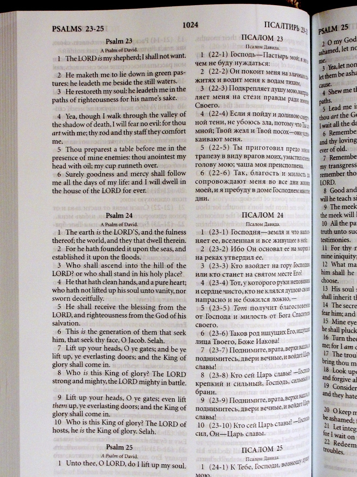 Russian/English Parallel Bible, Black Paperback, Synodal/King James Version
