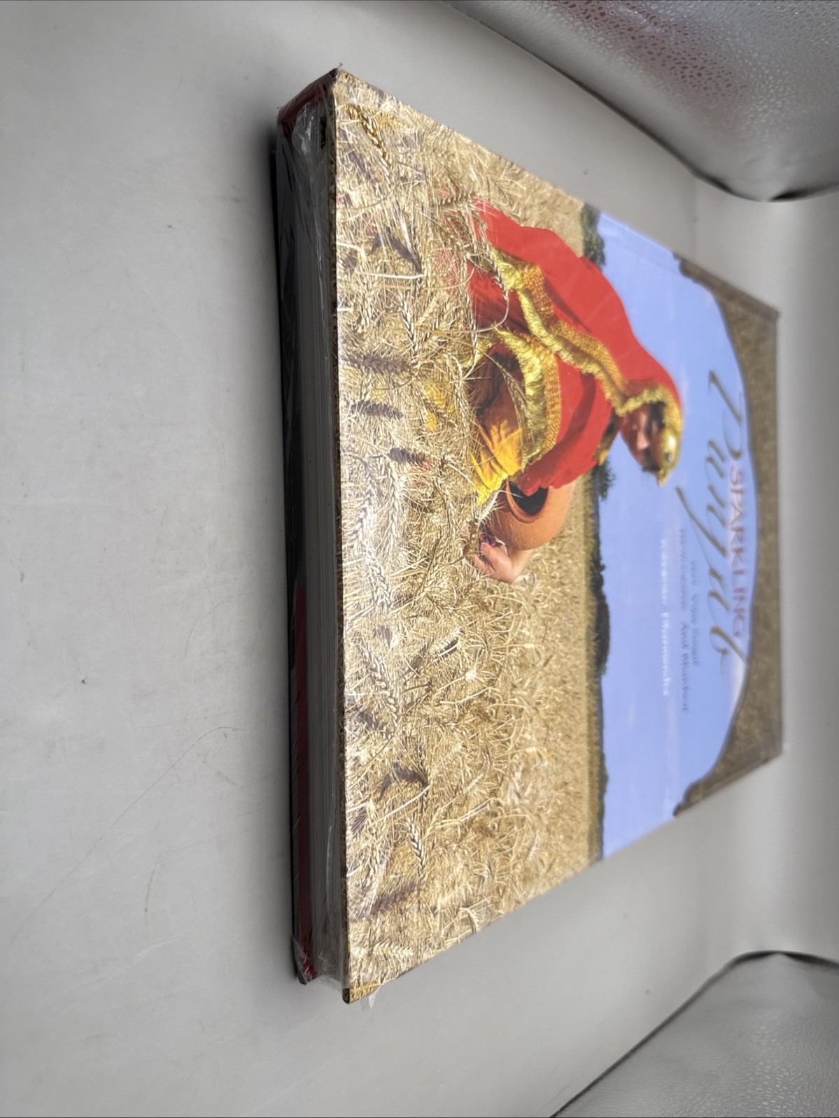 Sparkling Punjab Book by Atul Bhardwaj and Vijay Singal Hardcover HC SEALED NEW