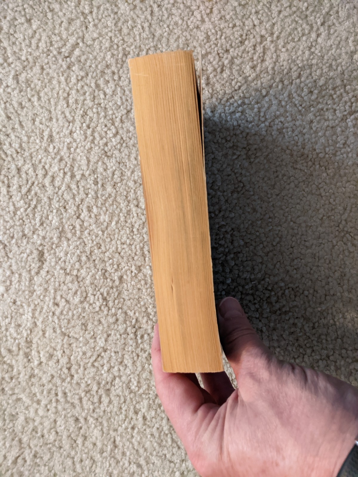 Radix By A.A. Attanasio, Bantam Books, 1985. First PB Edition, First Printing.