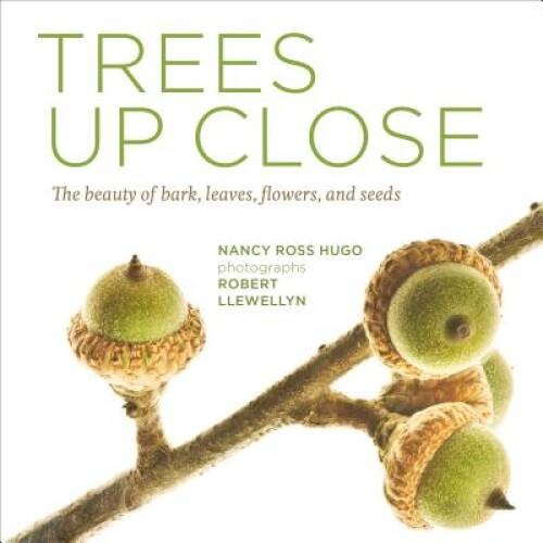 Trees Up Close: The Beauty of Their Bark, Leaves, Flowers, and Seeds (See – GOOD