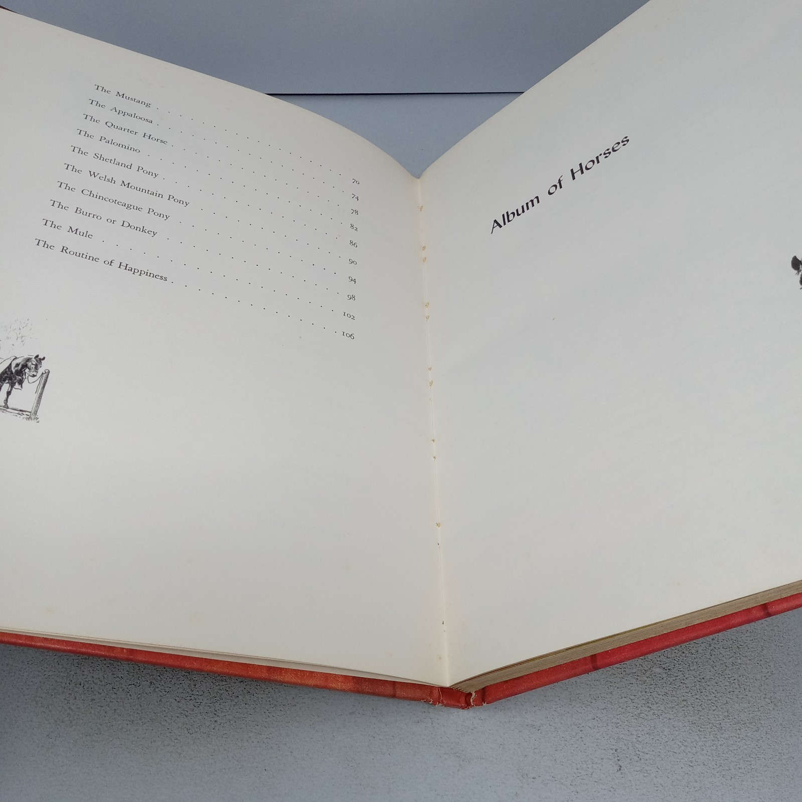 Album of Horses: 1978 23rd Printing Rand McNally Hardcover by Marguerite Henry