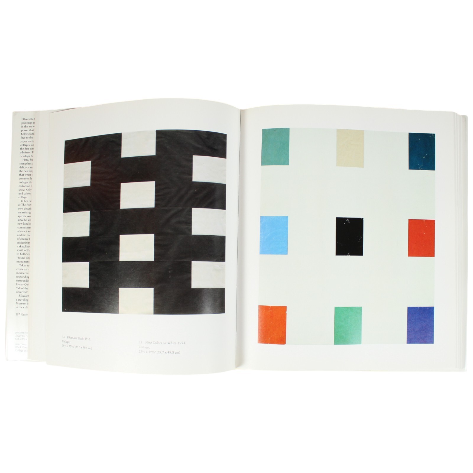 Ellsworth Kelly Hard Edge Minimalist Art Book Color Field Geometric Abstract MCM
