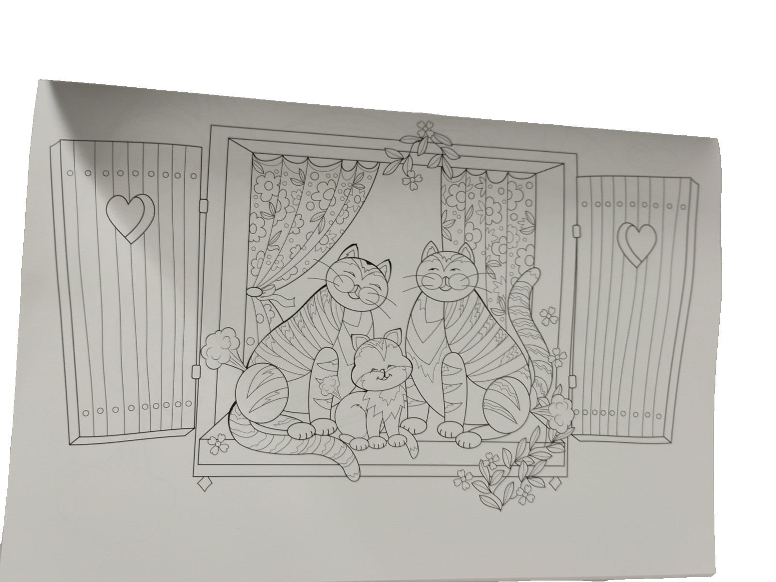 NEW Coloring Cat Farts Volume 16 • 39 Adult Coloring Pages Book Gag Gift