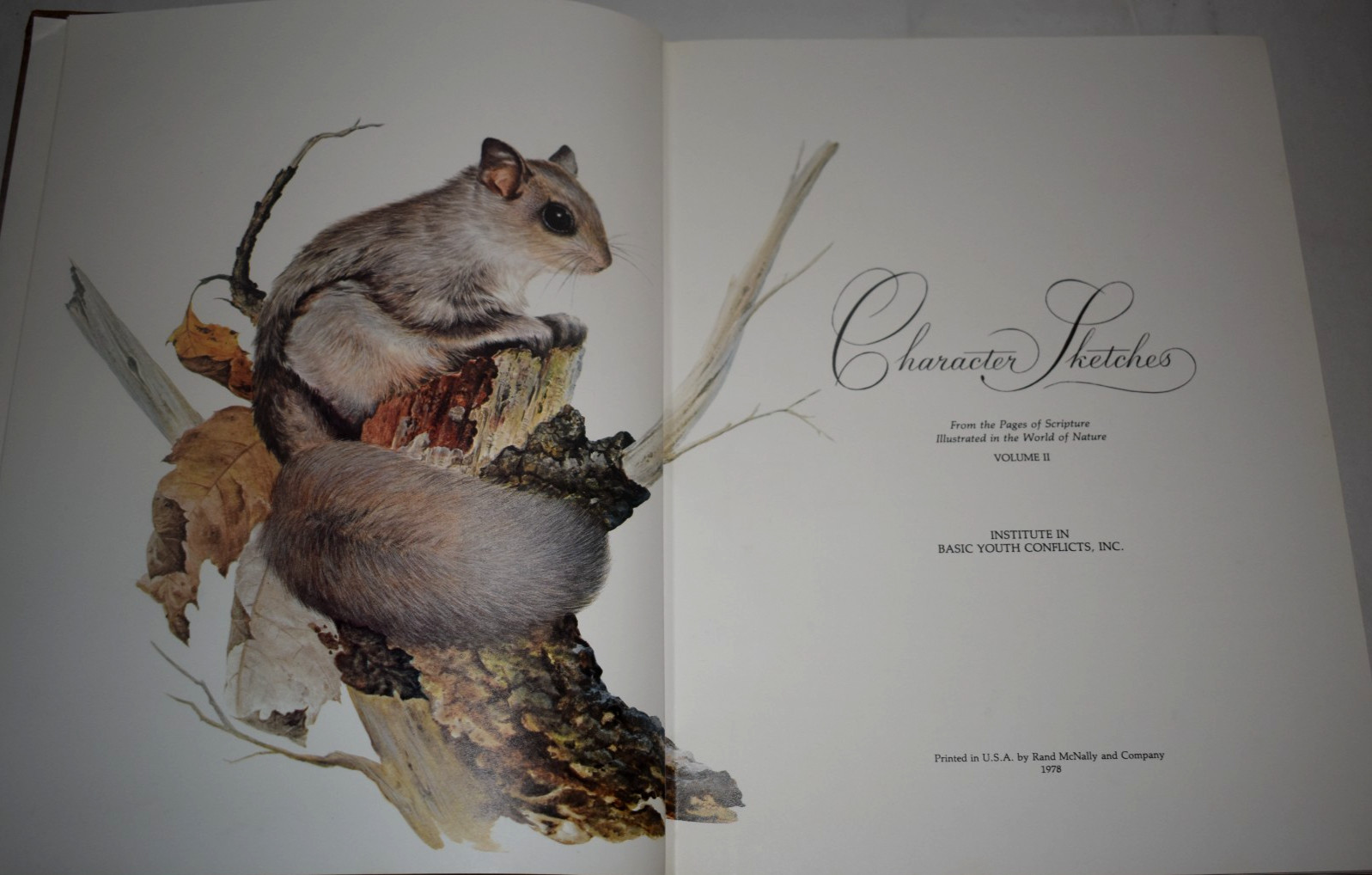 Character Sketches From The Pages of Scripture Vol 1 & 2 w/ Slipcases
