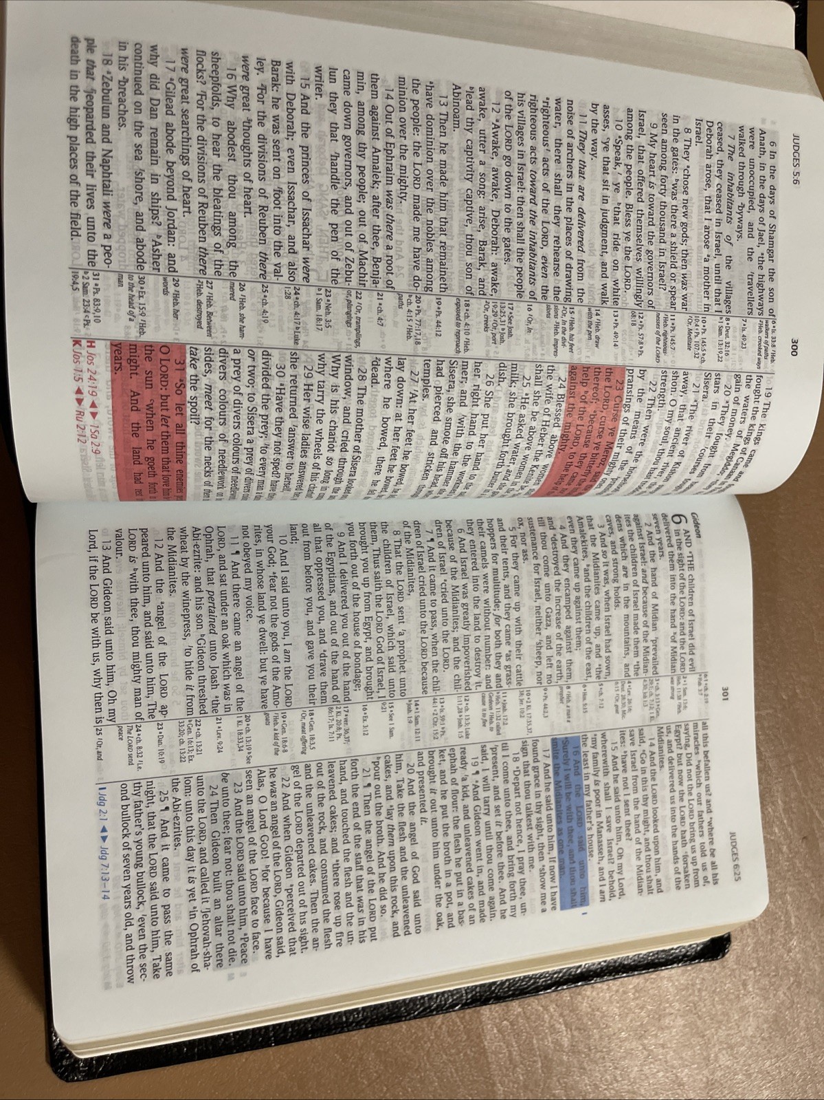 KJV JEFFREY PROPHECY (Marked Reference) STUDY BIBLE – Grant R. Jeffrey, Editor