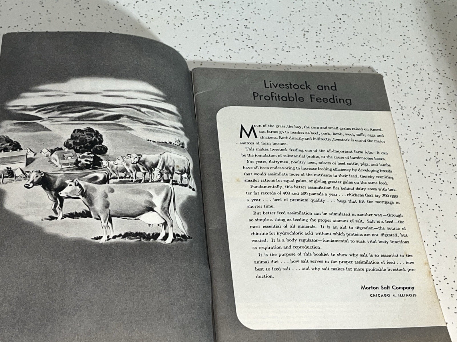 Vintage Free Choice Salt For More Profitable Livestock Feeding Booklet 39 Pages