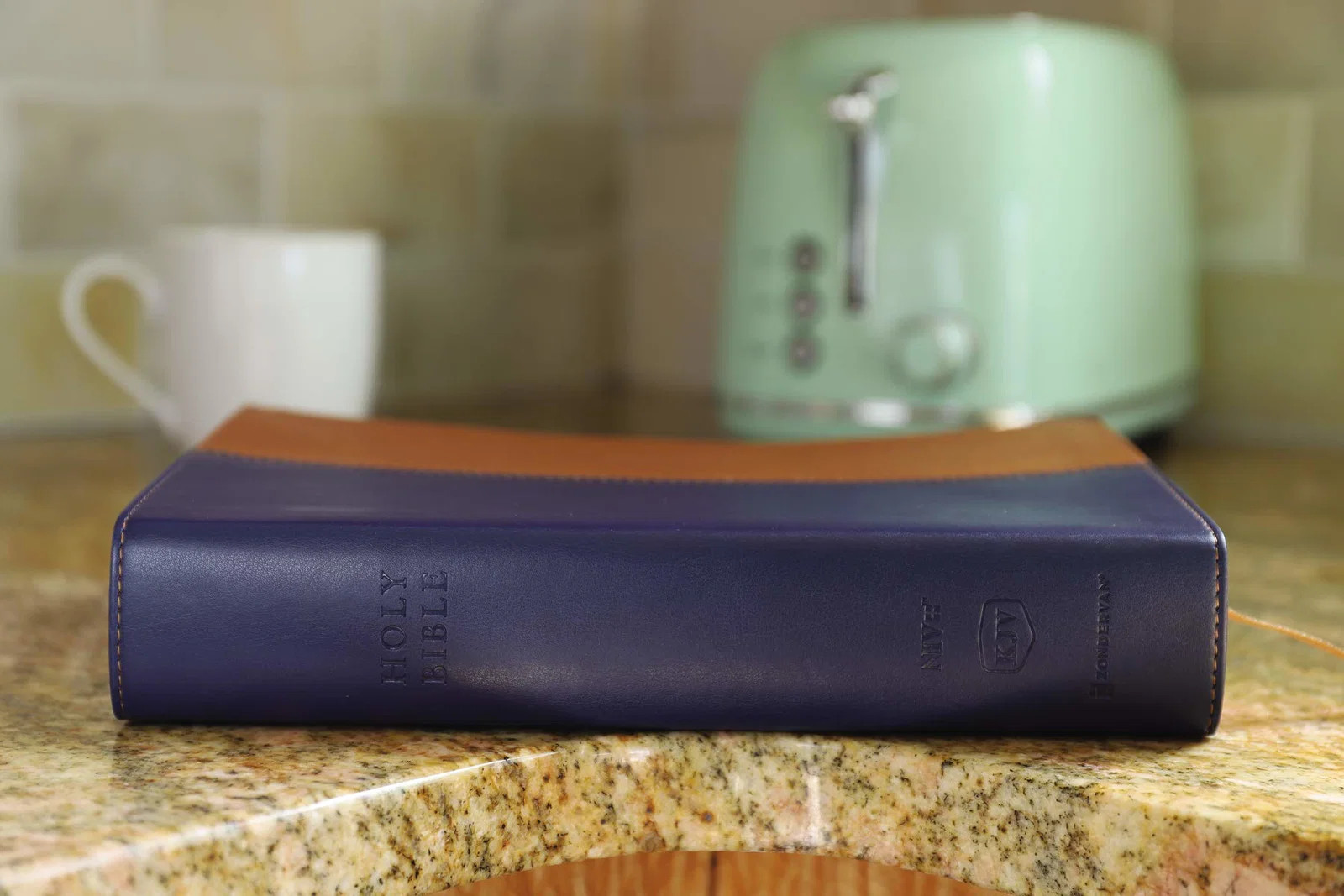 NIV & KJV Side-By-Side Bible/Large Print-Navy/Tan Duo-Tone