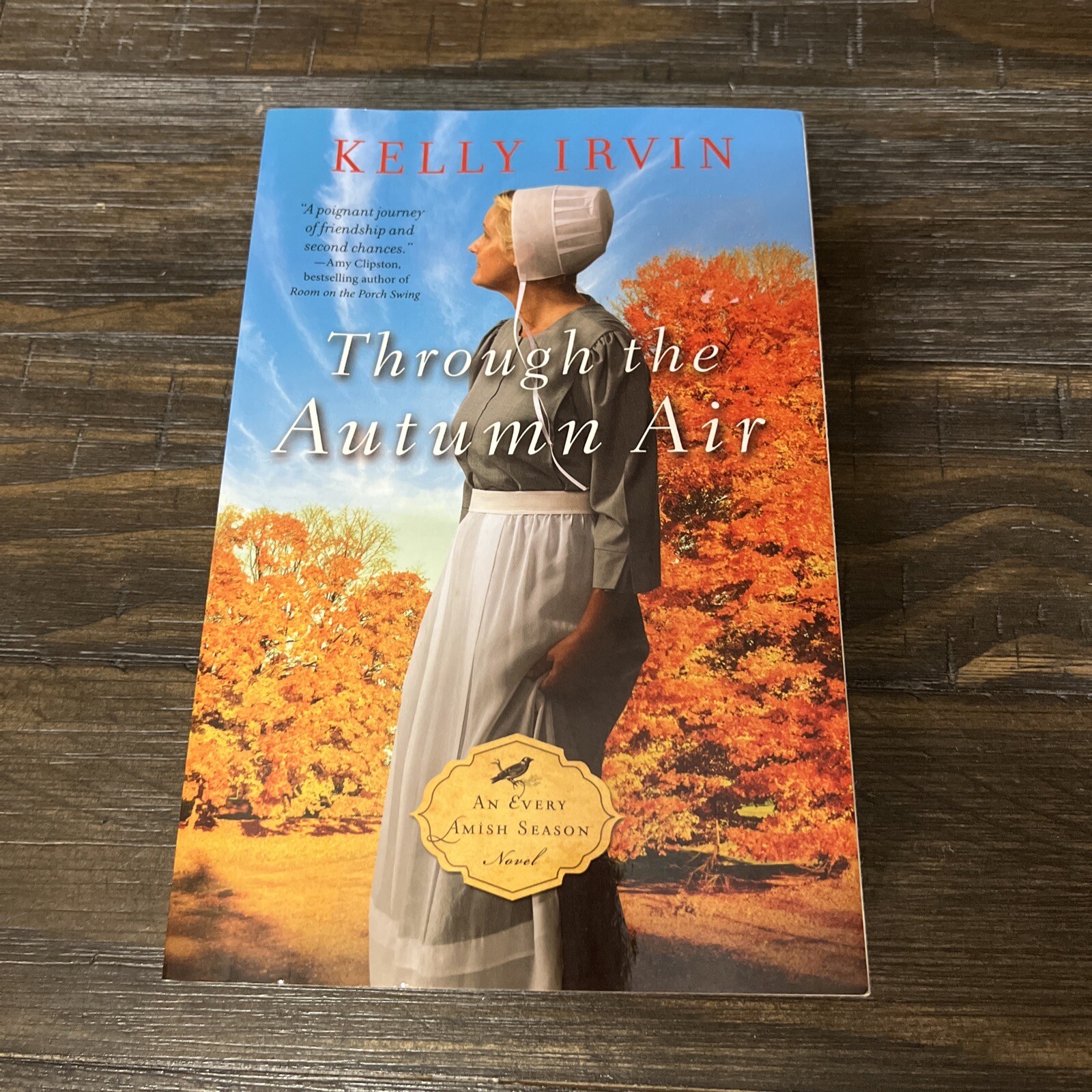 4 Amish Books Author Kelly Irvin Paperbacks Multiple Titles