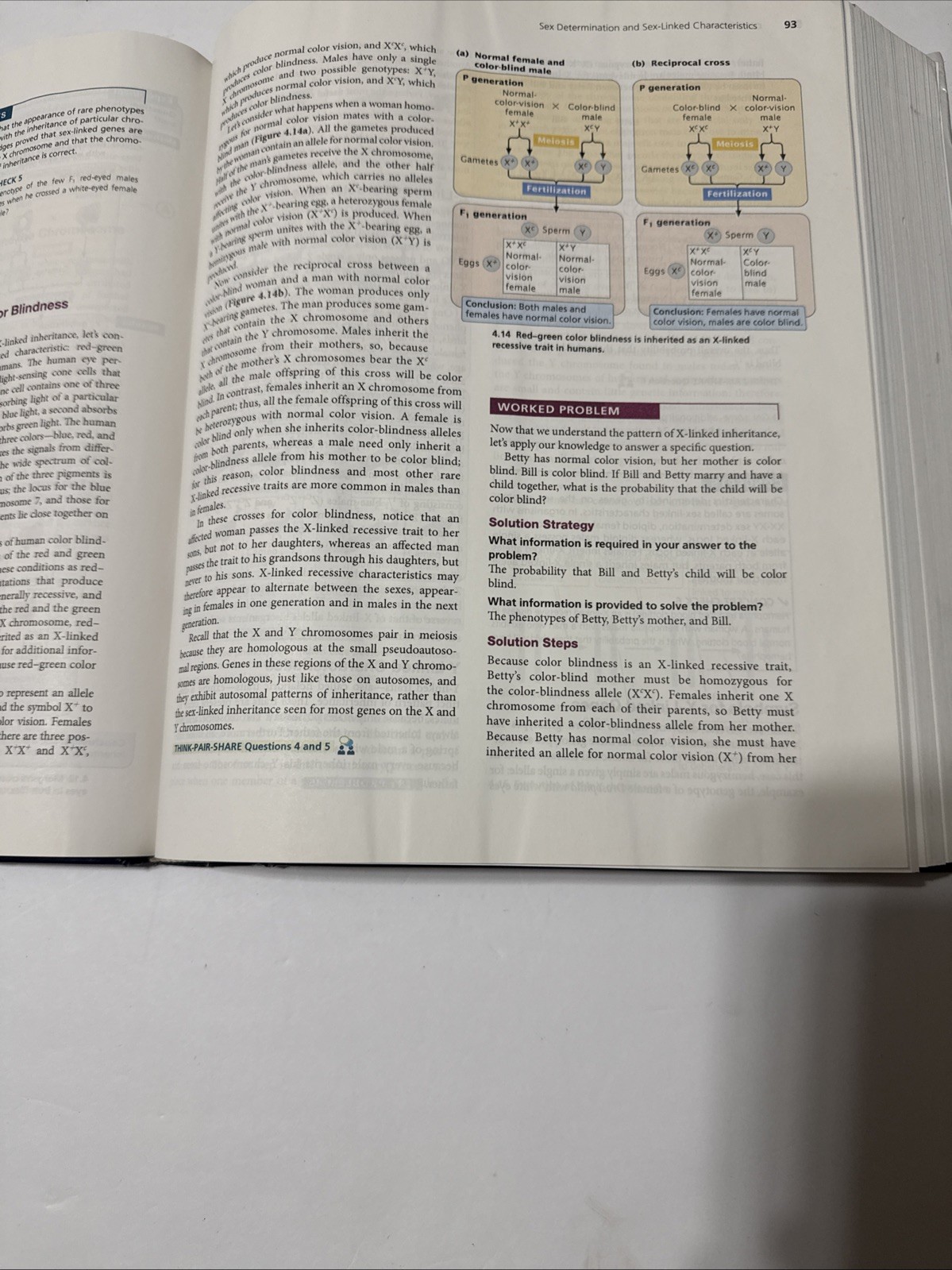 Genetics: A Conceptual Approach by Pierce, Benjamin Hardback Book The Fast Free