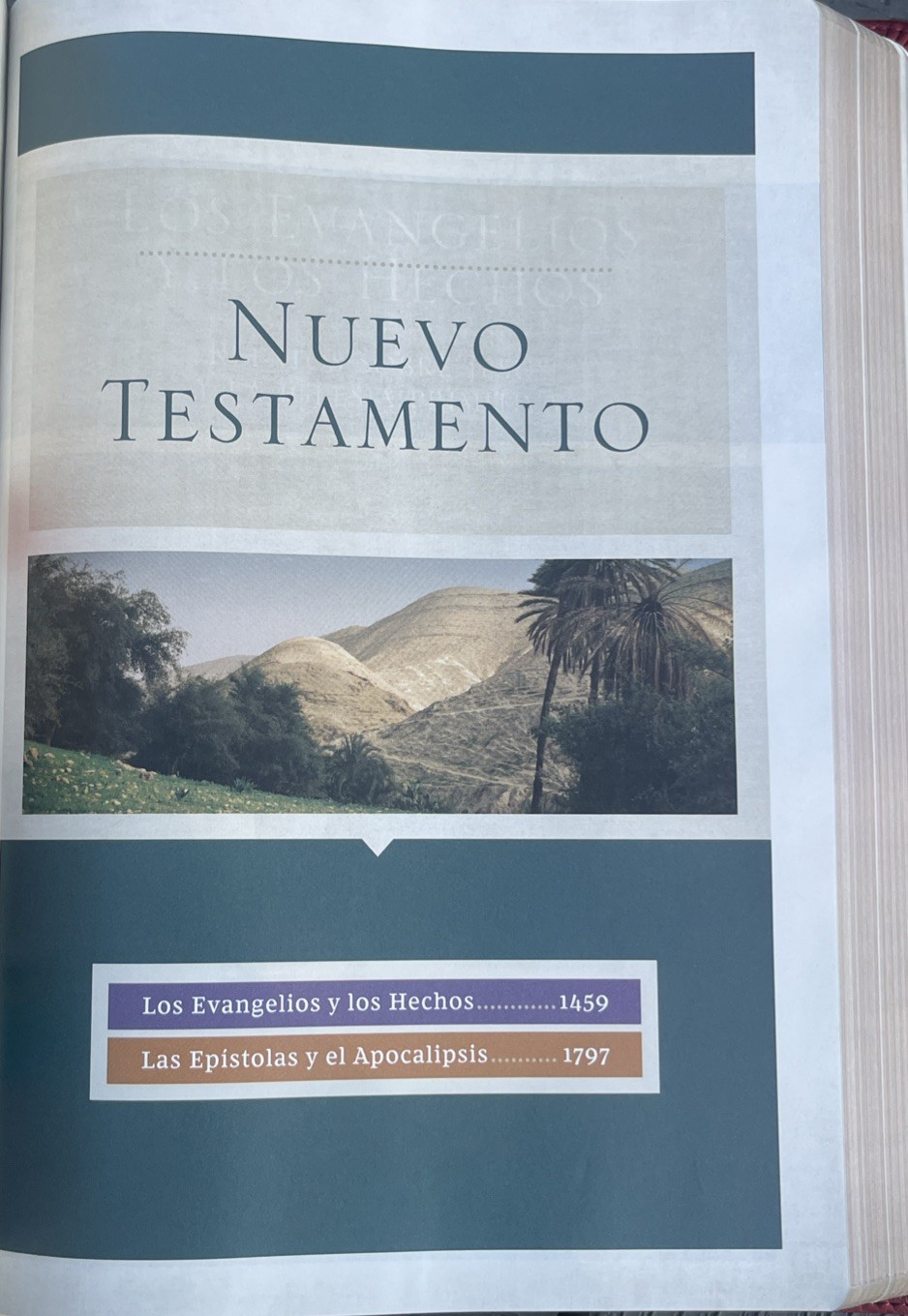 RVR, Biblia de Estudio Trasfondo Cultural, Leathersoft, Rojo Vino, Interior a…