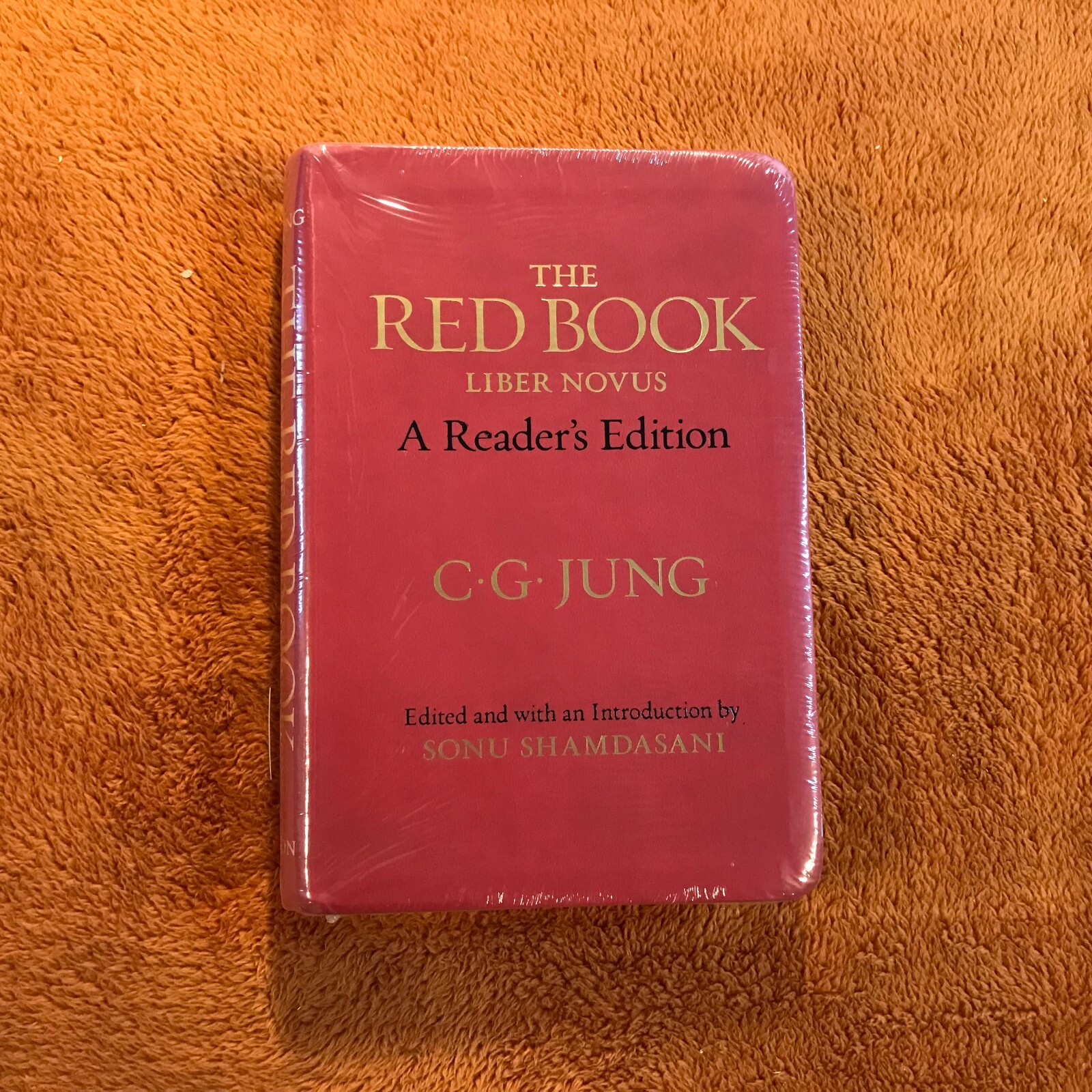 C.G. Carl Jung THE RED BOOK liber novus philemon ’12 english a reader’s edition!