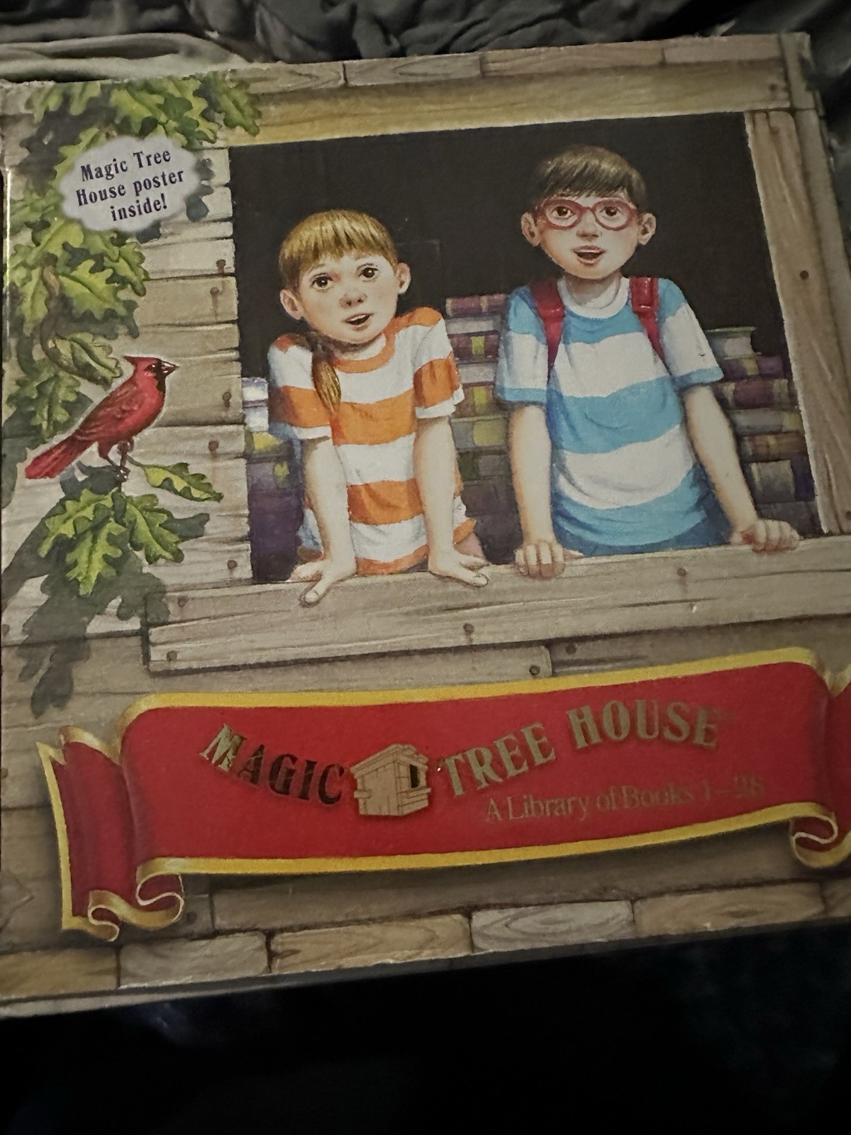 Magic Tree House Boxed Set, Books 1-28 – Paperback – VERY GOOD Plus two extra