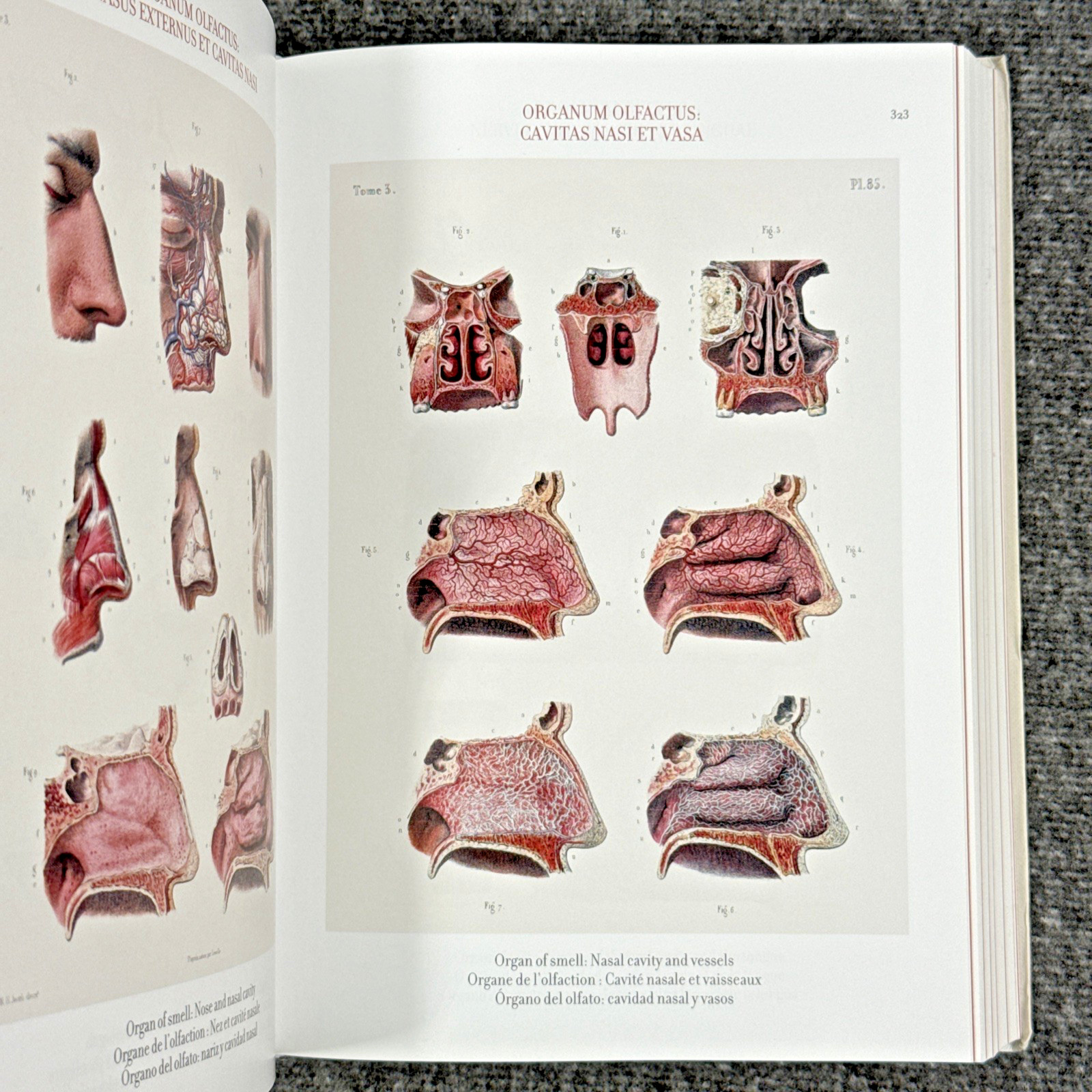 Atlas of Human Anatomy and Surgery The Complete Plates, Bourgery, Jacob, Taschen
