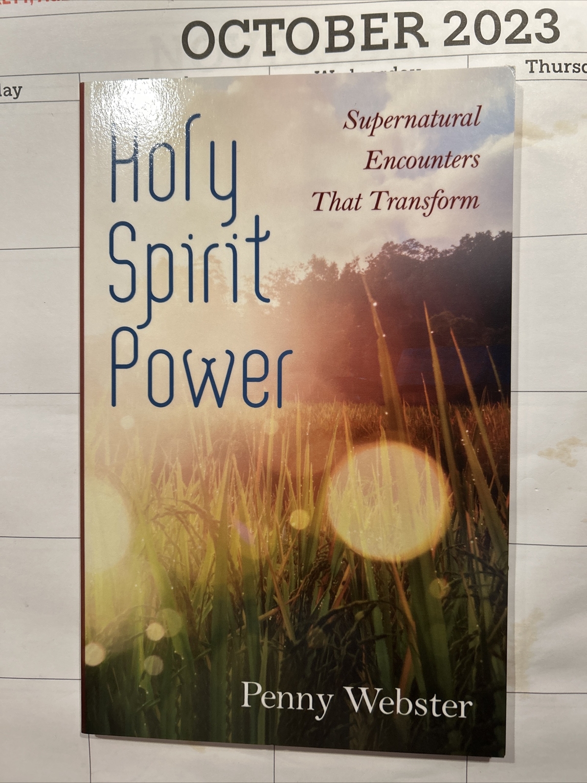 Holy Spirit Power – Penny Webster – 2019 – 116 pages – Supernatural Encounters