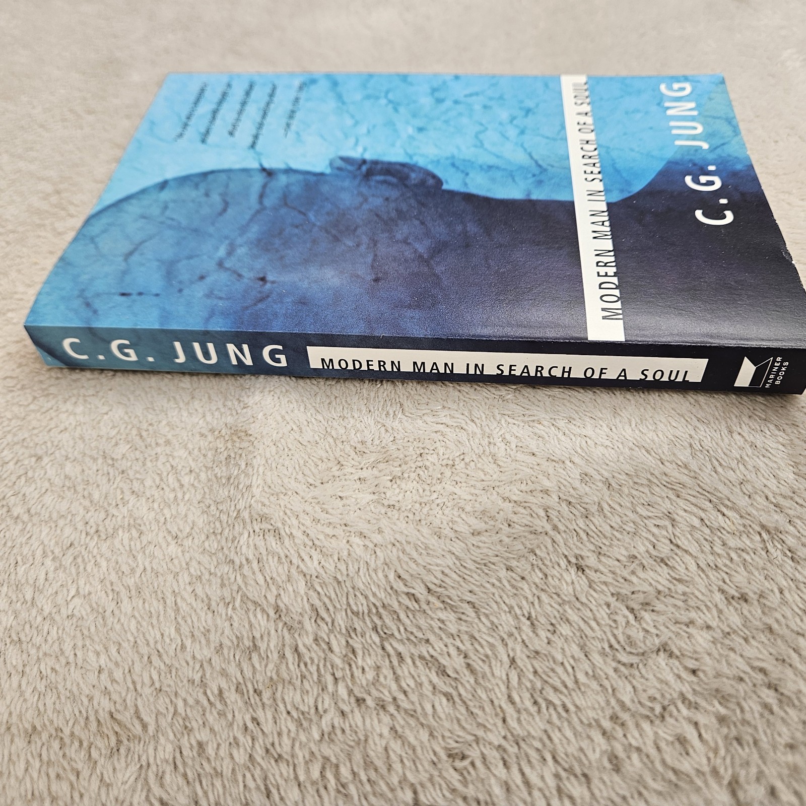 Modern Man In Search Of A Soul By Carl G. Jung Paperback Psychology Spiritual
