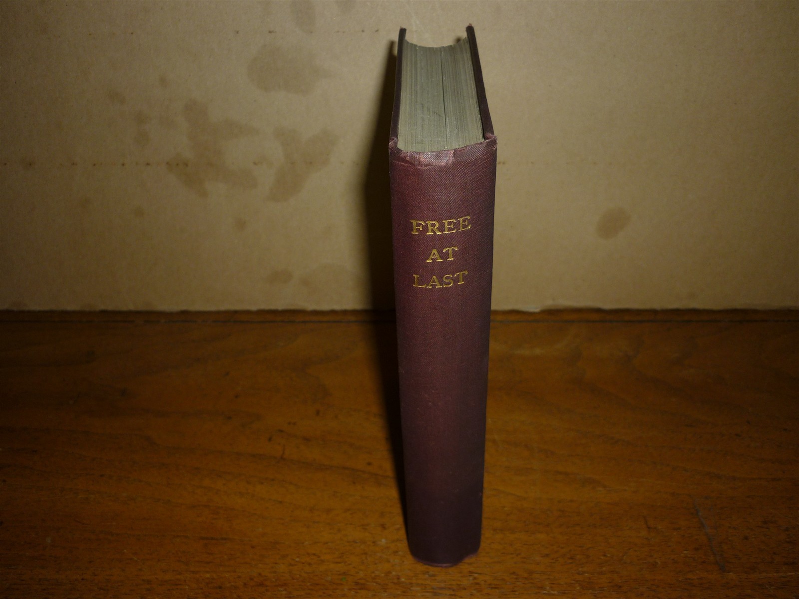 Jane S Collins. Free at Last. Pittsburgh, 1896. Slavery, anti-saloon. Near fine.
