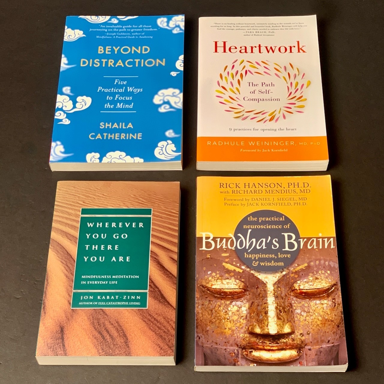 Mindfulness Meditation – Lot of 4 – Jon Kabat-Zinn, „Buddha‘ Brain“ – Softcover