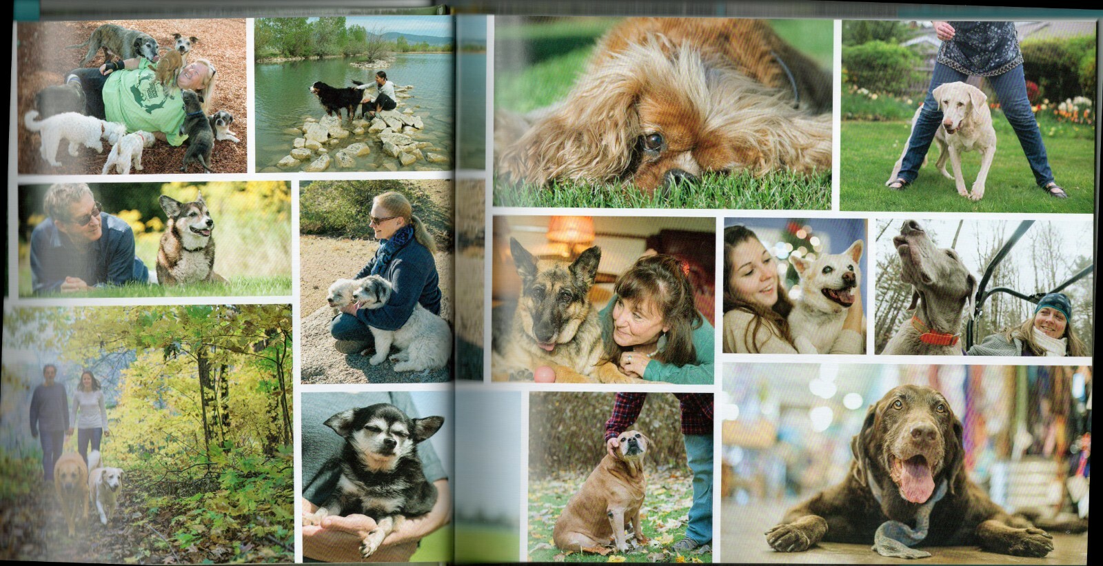 UNCONDITIONAL: Older Dogs, Deeper Love by Jane Sobel Klonsky, 2016, 208 pages