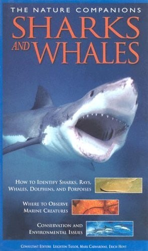 Sharks and Whales (Nature Comp – VERY GOOD