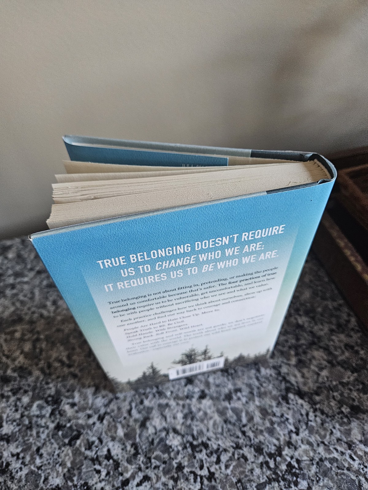 Autographed „Braving The Wilderness“ By Brene Brown Hardcover