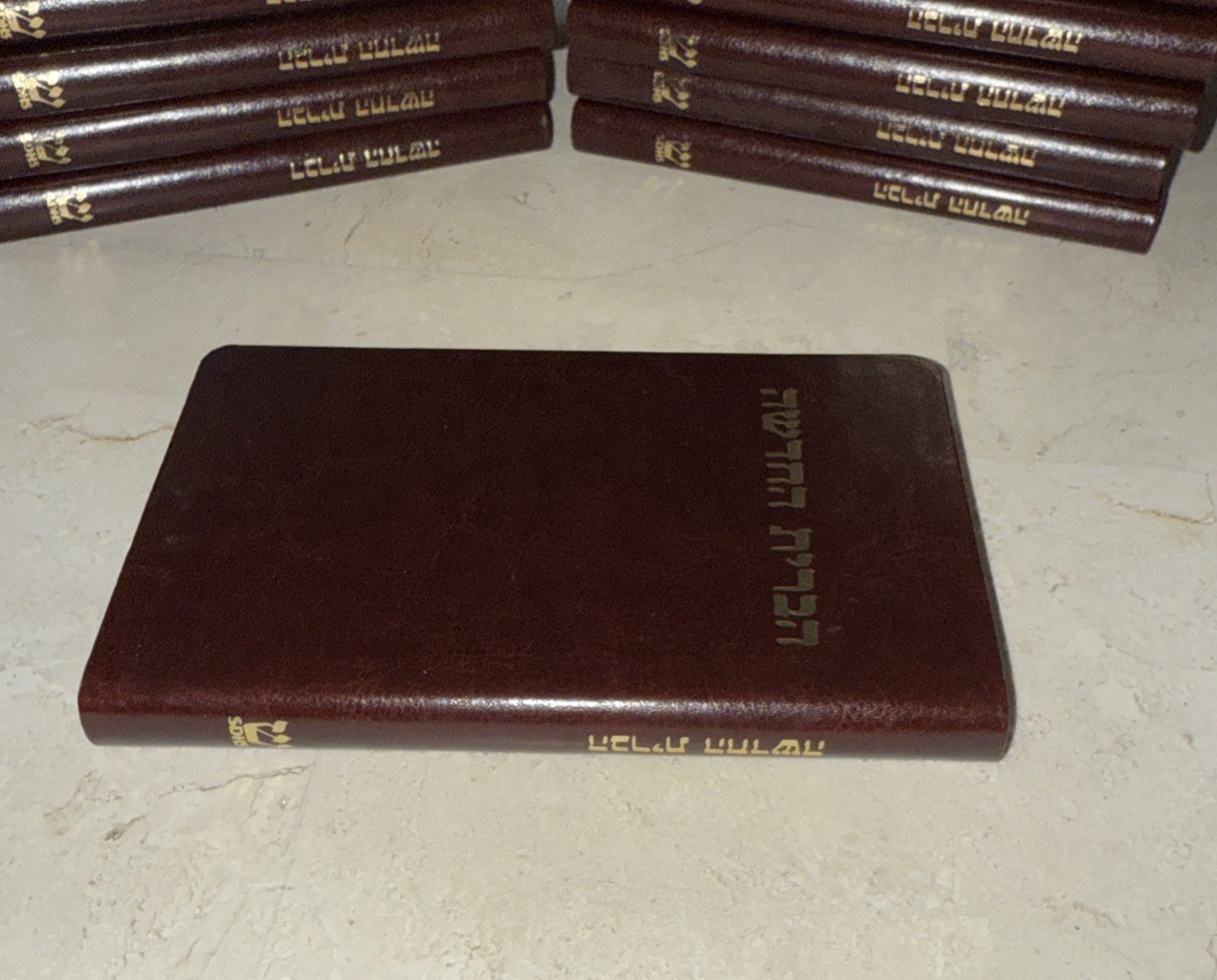 New Testament in Hebrew Society For Hebrew Scriptures הברית החדשה Pocket Bible