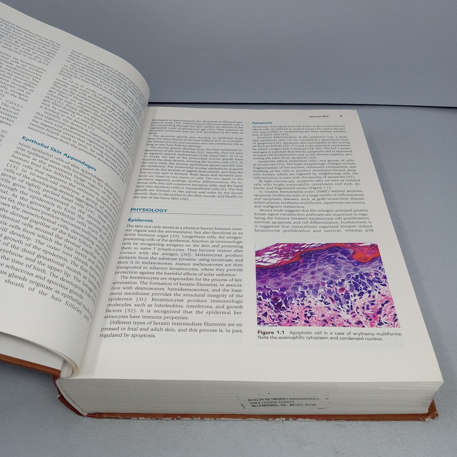 Histology for Pathologists: 3rd Edition 2007 Hardcover by Stacey E. Mills