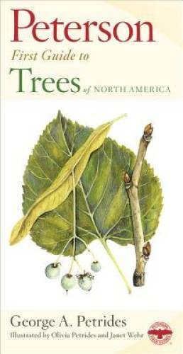 Peterson First Guide to Trees – Paperback By Petrides, George A. – GOOD