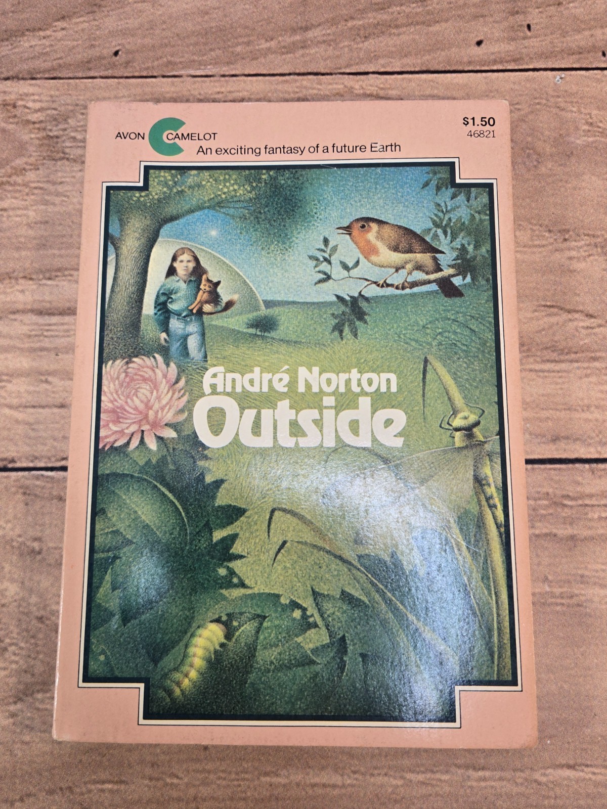 Outside Andre Norton 1976 Camelot PB 2nd Printing Juvenile Fantasy Illustrated