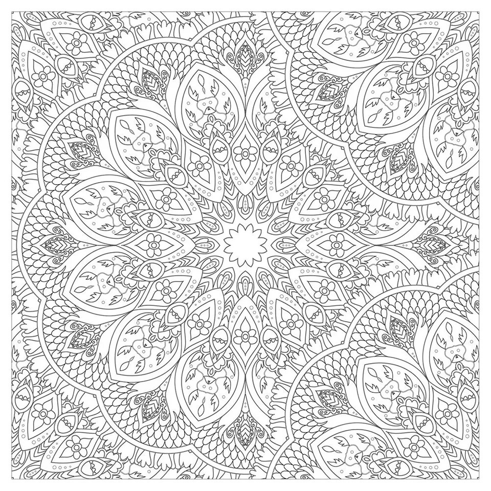 Vive Le Color! India (Adult Coloring Book) Color In, De-Stress (72 Tear-out) NEW