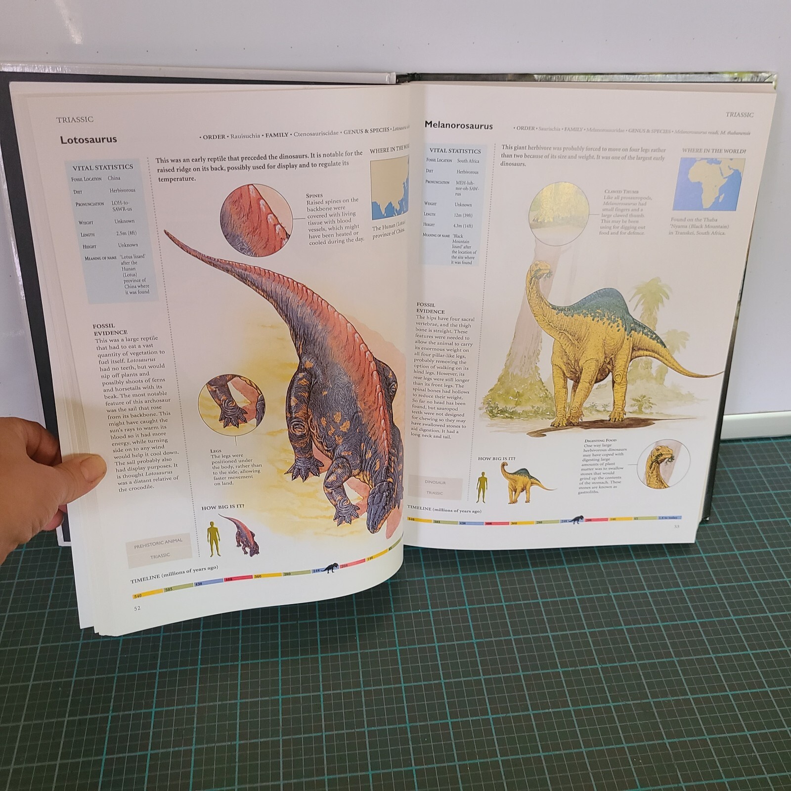 Dinosaurs & Other Prehistoric Animals Book 448 Pages Amber Books