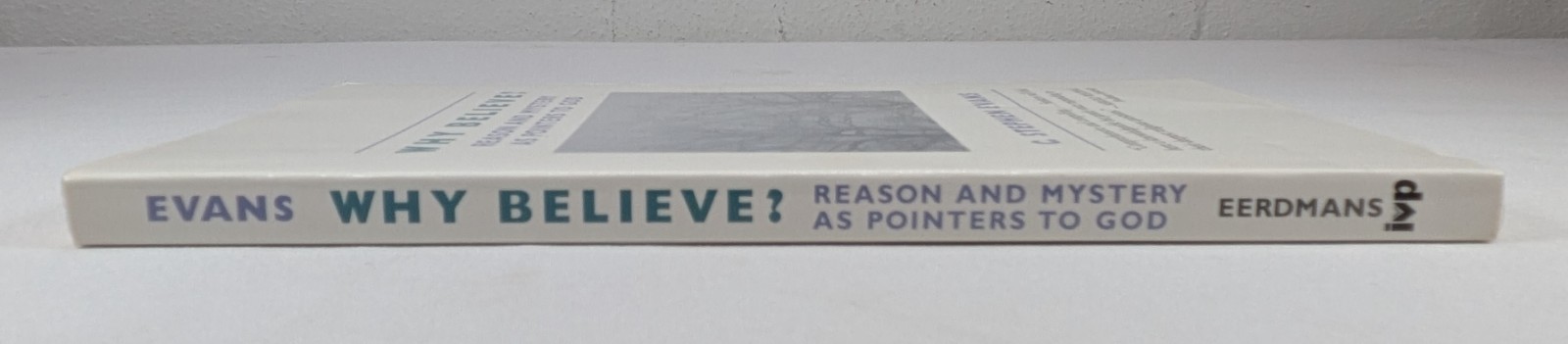 Why Believe?: Reason and Mystery as Pointers to God by C. Stephen Evans