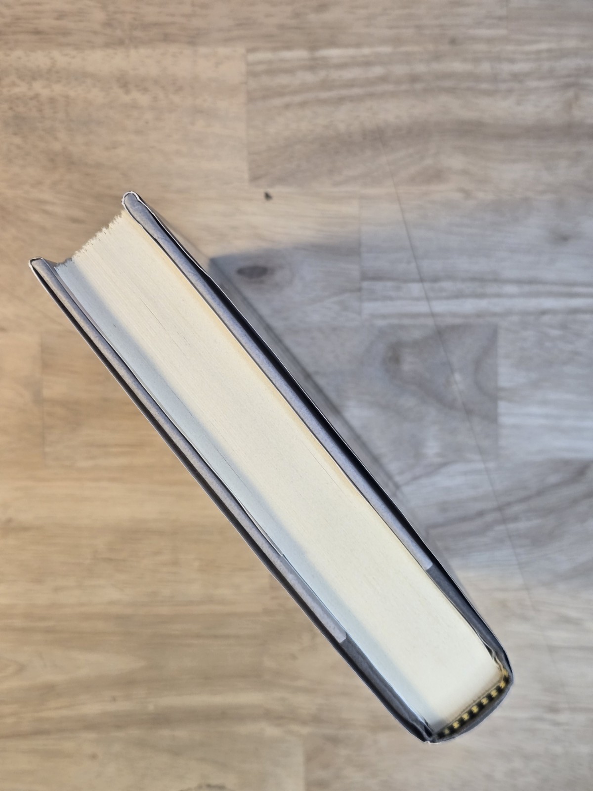 The Dutch House by Ann Patchett Hardcover Novel 2019 First Edition Fiction Book