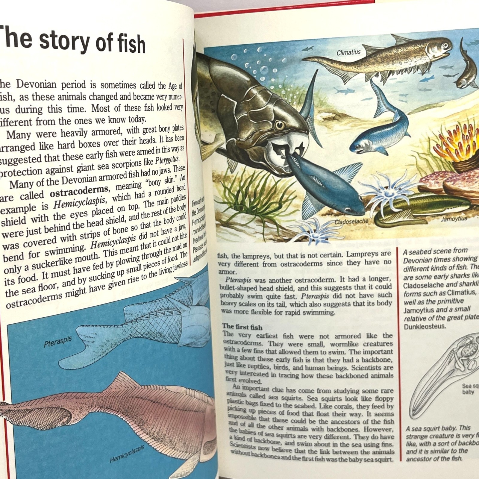 Prehistoric World Simon Schuster Illustrated Encyclopedia Michael Benton 1989