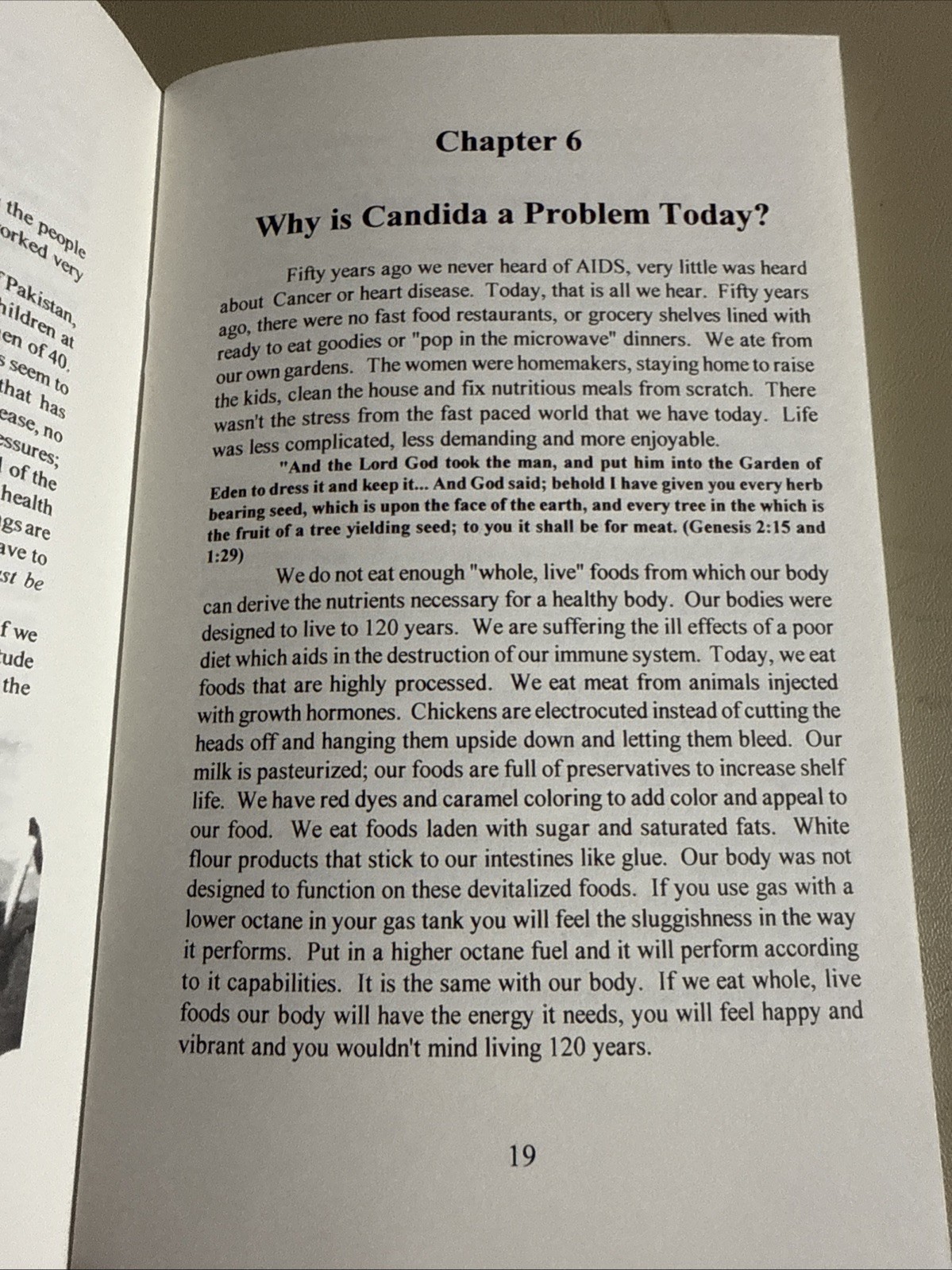 Candida, the Slow Killer, 2001 Revised Edition, 50-Page Booklet Schumacher