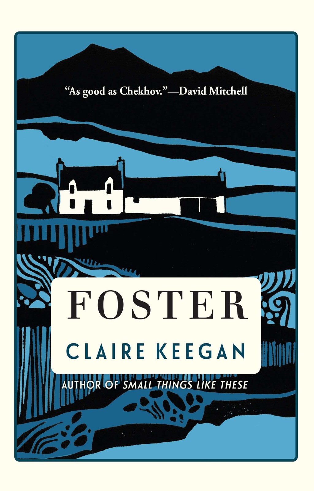 Foster – hardcover Keegan, Claire