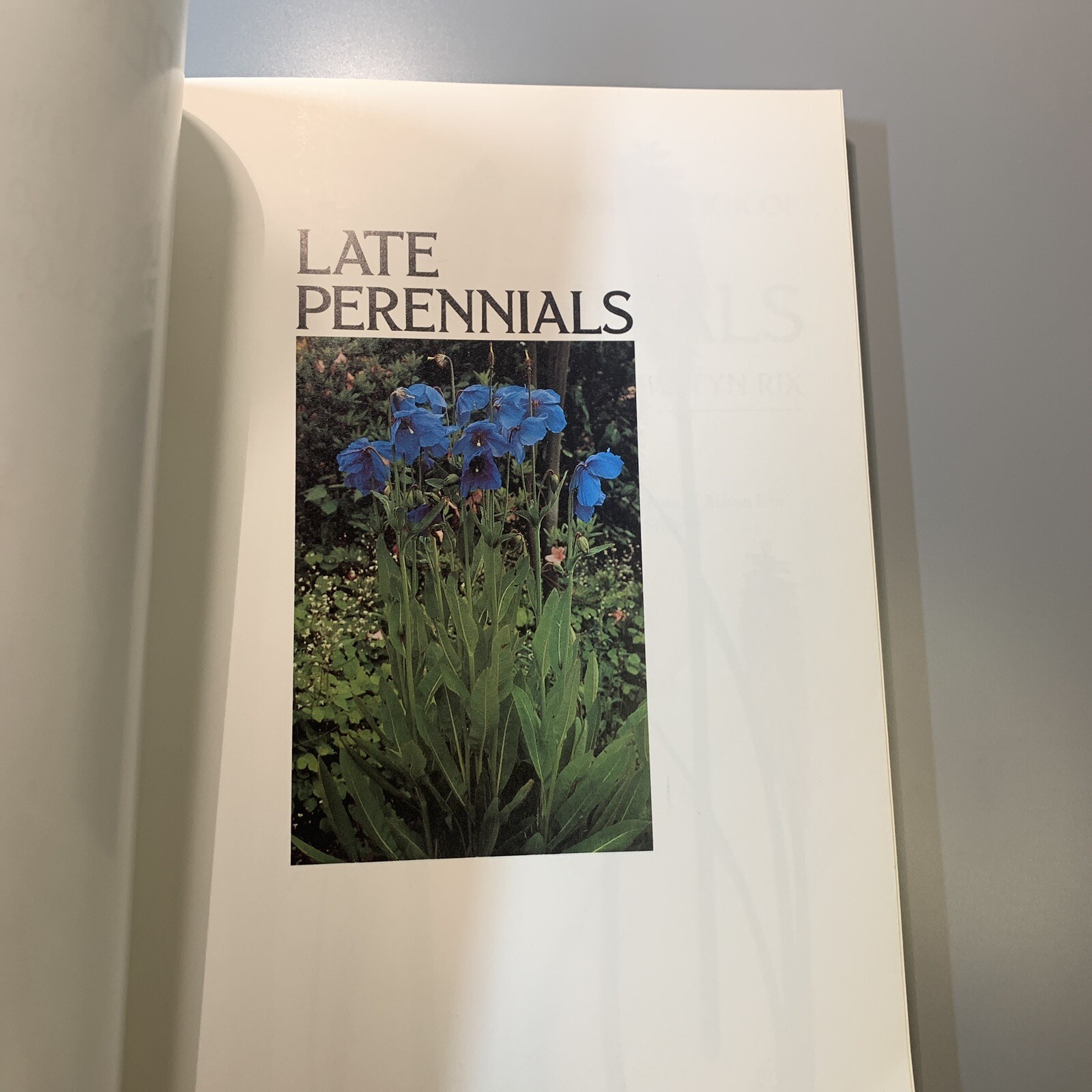 Random House Book of Perennials Vol 2, 1991, Roger Phillips 240 pages (402)