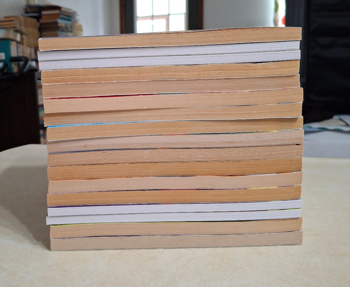 Goosebumps Books Lot of 17 R.L. Stine Mostly Vintage 1990s Paperbacks More Tales