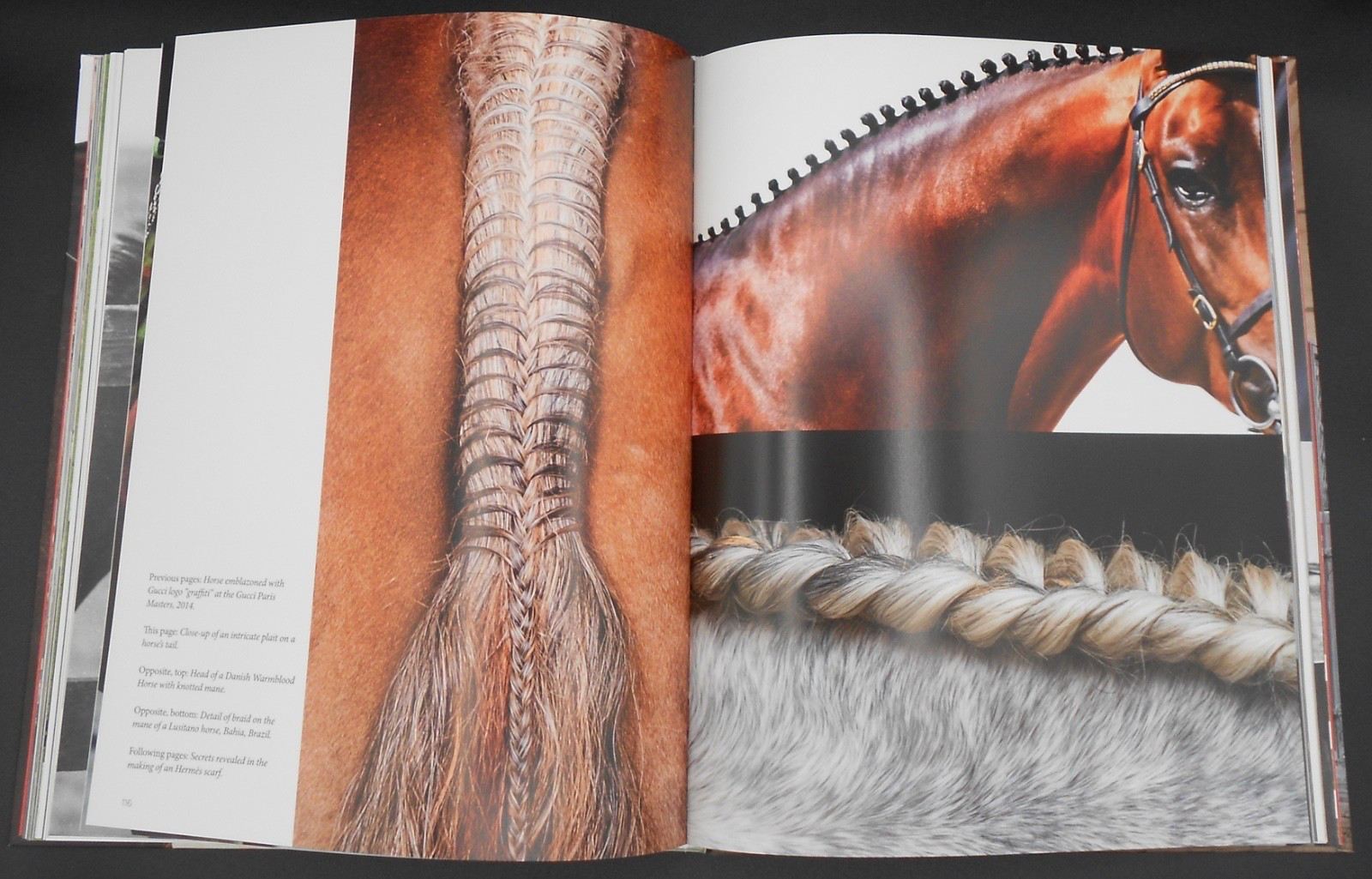THE STYLISH LIFE: EQUESTRIAN by VICKY MOON 2015, HC/DJ VERY GOOD PLUS