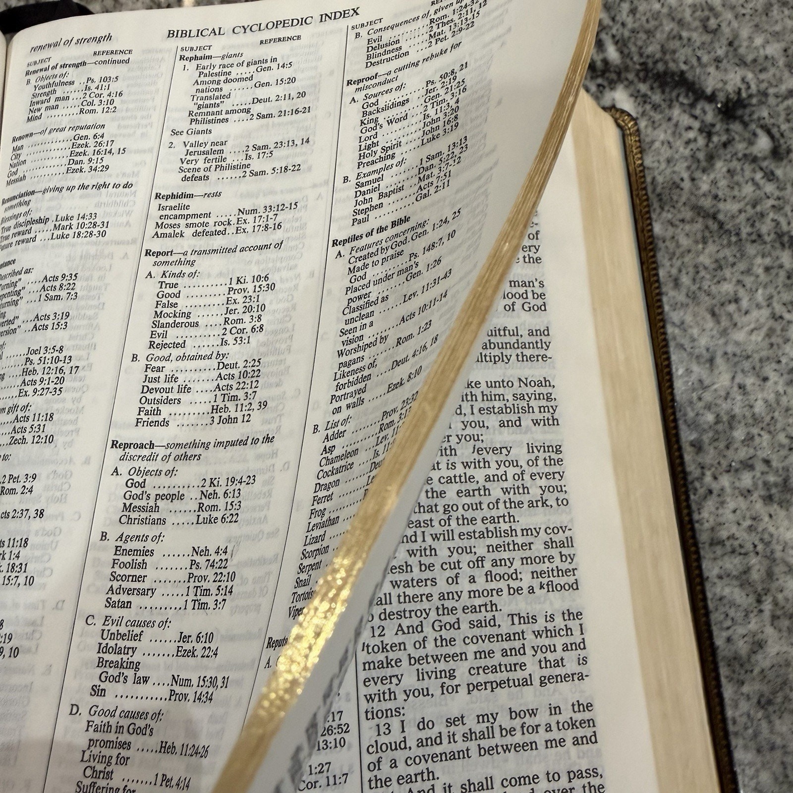 VTG 1985 Rhema Study Bible Kenneth Hagin Ministries-Lg Print King James Version