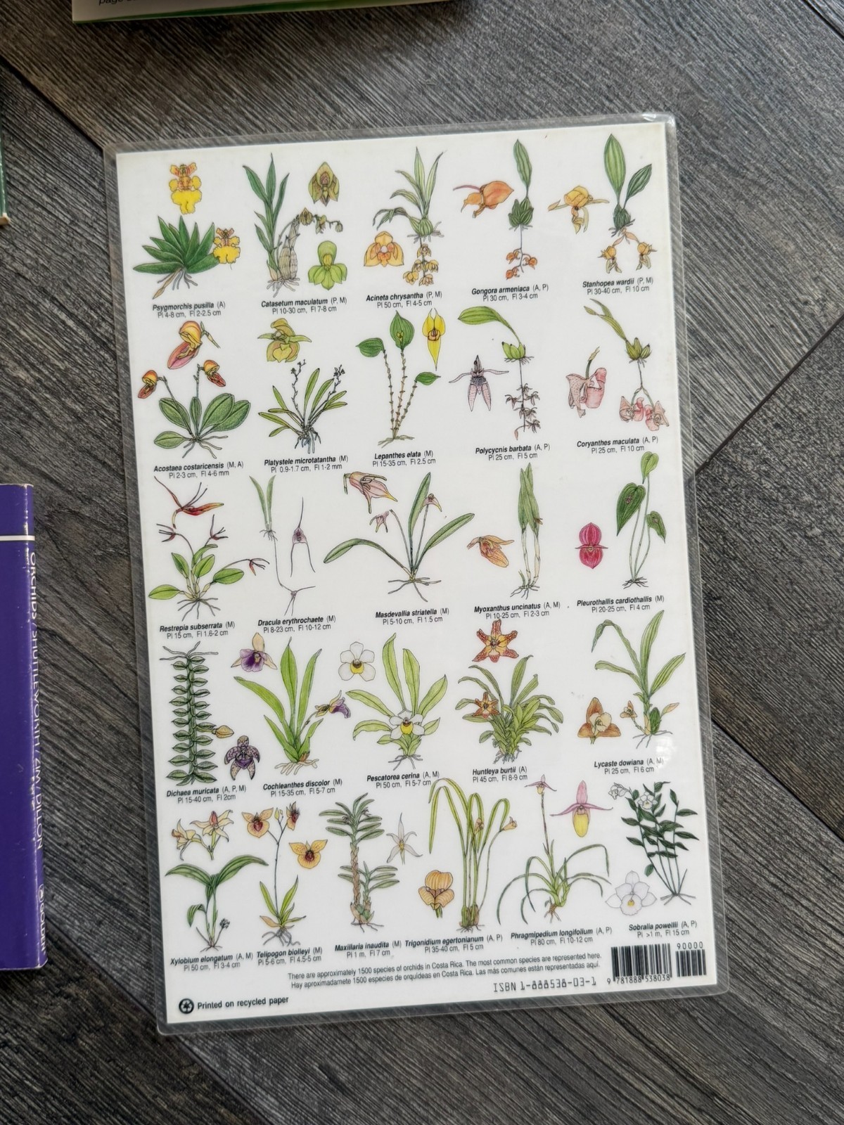ORCHID Book 8pc Lot Field Guide Hardcover Softcover Gardening Flowers Floristry
