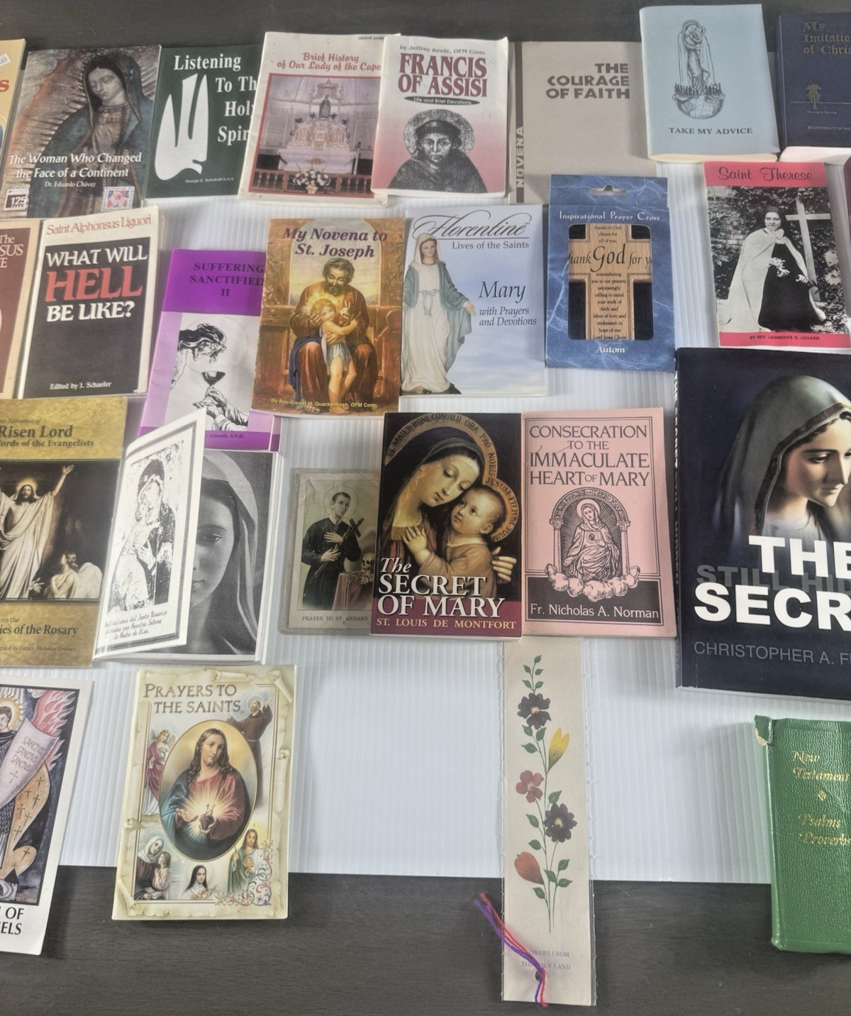 Catholic Book Lot Trad Fatima Marian Devotional The Secret Ferrara Devil’s Final