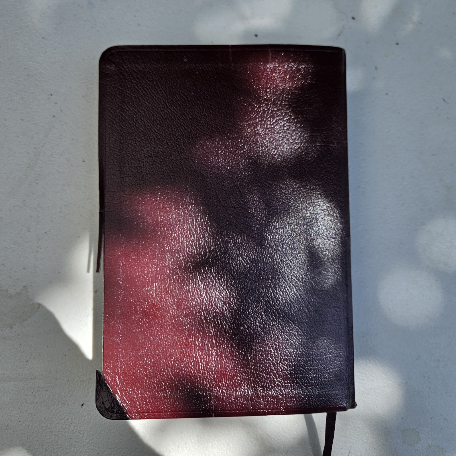 The Jack Van Impe Prophecy Bible KJV Red Letter Limited Edition Leather Bound
