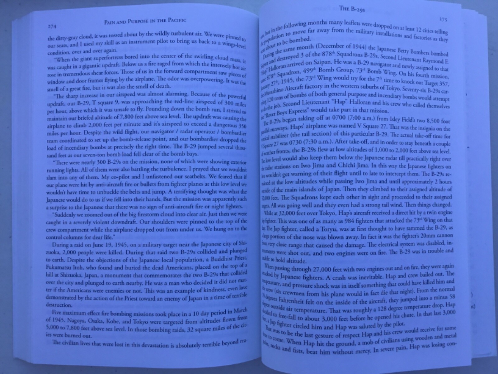 Pain & Purpose In the Pacific: True Reports Of War Richard Carl Bright Iwo Jima